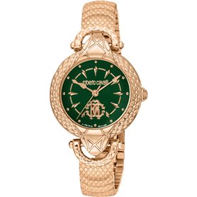 Roberto Cavalli By Franck Muller Montres Jaune Femme