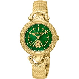 Roberto Cavalli By Franck Muller Montres Jaune Femme