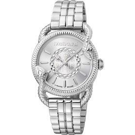 Roberto Cavalli By Franck Muller Montres Gris Femme