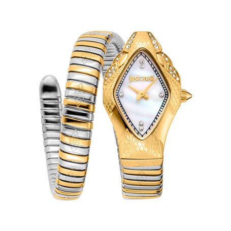 Just Cavalli Montres Gris Femme