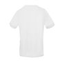 Zenobi T-shirts Blanc Homme