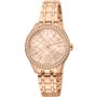 Ferrè Milano Montres rose gold Femme