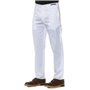 PT Torino Pantalons Blanc Homme
