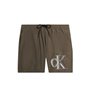 Calvin Klein Maillots de bains Brun Homme