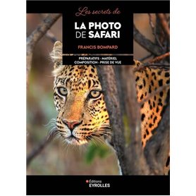 Les secrets de la photo de safari