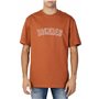 Dickies T-Shirt Uomo 74970