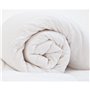 Remplissage de couette HappyFriday Basic 115 x 145 cm 250 g/m²