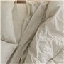 Drap housse HappyFriday BASIC Beige 160 x 200 x 32 cm