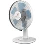 Ventilateur de Bureau S&P ARTIC WIND300 Blanc 35 W