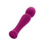 Masseur S Pleasures Wand Rose