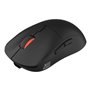 Souris Genesis ZIRCON XIII Noir