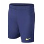 Short de Sport pour Homme Nike FC. Barcelona Bleu