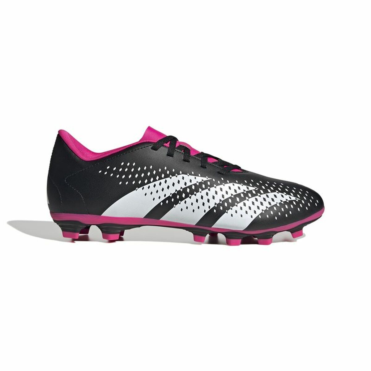 Crampons pour chaussure