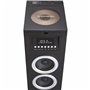 Thomson DS120CD ensemble audio pour la maison Système audio domestique à tour 60 W Noir