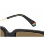 Lunettes de soleil Homme Polaroid PLD 6220_S_X