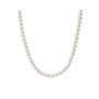 Collier Homme Albert M. WSOX00534.WPRL