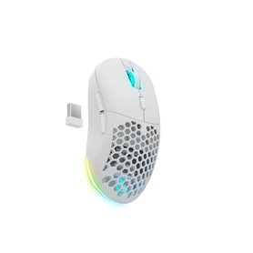 Souris Newskill Blanc