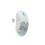 Souris Newskill Blanc