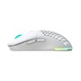 Souris Newskill Blanc