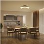 Philips Plafonnier ventilateur Amigo 60+25 W