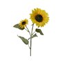 Bouquets Everlands Tournesol 10 x 15 x 72 cm