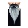 Fausse barbe My Other Me Gris