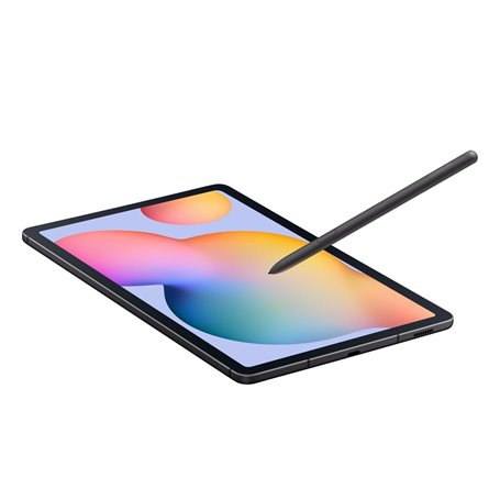 Tablette Samsung Galaxy Tab S6 Lite (2024) SM-P620NZAEEUE 10