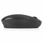 NGS -MOUSE-0950 souris