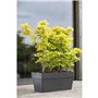 Jardiniere - DEROMA - Muret Save R - 75L - 79cm - Gris foncé