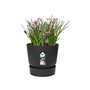 ELHO Greenville Pot de fleurs rond 47 - Noir - Ø 47 x H 44 cm - extérieur - 100% recyclé