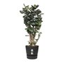 ELHO Greenville Pot de fleurs rond 47 - Noir - Ø 47 x H 44 cm - extérieur - 100% recyclé