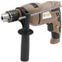 Perceuse a percussion FARTOOLS - IP 13 - 750W - Variateur de vitesse - Inverseur de sens - Mandrin a clé 13mm