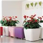 Pot de fleur - LEC - Quadro Premium LS 50 - blanc brillant - systeme d'irrigation intégré