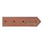 Collier pour Chien Gloria Oasis Marron (60 x 3 cm)