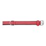 Collier pour Chien Gloria Rembourré Rouge 40 cm (40 x 2 cm)