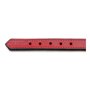 Collier pour Chien Gloria Rembourré Rouge 40 cm (40 x 2 cm)