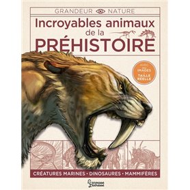 Incroyables animaux de la préhistoire