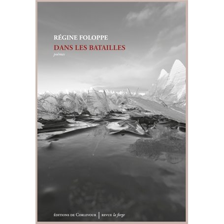 Dans les Batailles