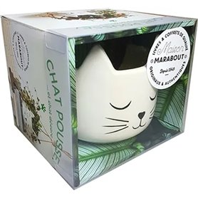 Coffret Chat pousse