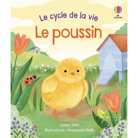 Le poussin - Le cycle de la vie - Dès 2 ans