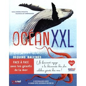 Océan XXL - Requins