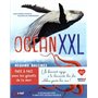 Océan XXL - Requins