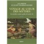 Voyage au coeur des mythes - Les mythes comme guides de notre vie