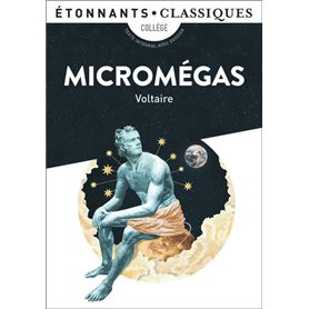 Micromégas