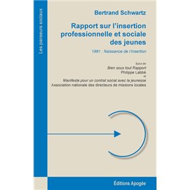 Rapport sur l'insertion professionnelle et sociale des jeunes