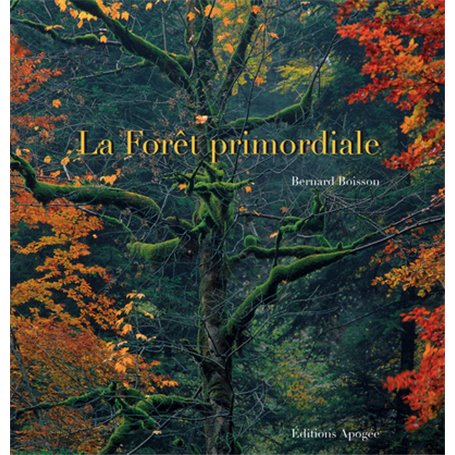 La forêt primordiale