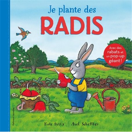 Je plante des radis