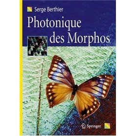 Photonique des morphos