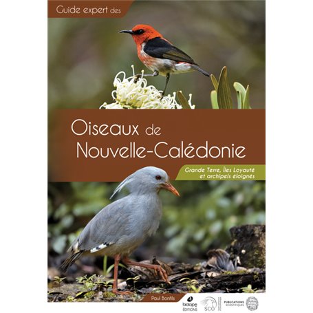 Guide des Oiseaux de Nouvelle-Calédonie
