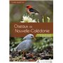 Guide des Oiseaux de Nouvelle-Calédonie